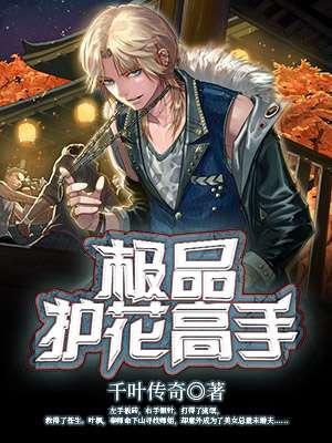 极品护花高手最新章节列表