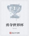 争夺世界杯