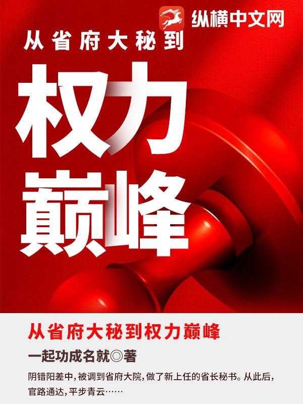 主角从政到省部级的
