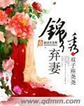 锦绣弃妻33言情