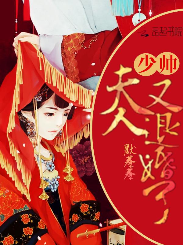 少帅夫人要退婚完结版