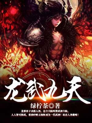 龙武九天龙傲天