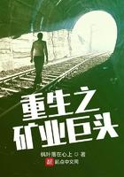 重生之矿业巨头全文阅读