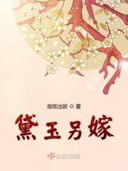黛玉老公
